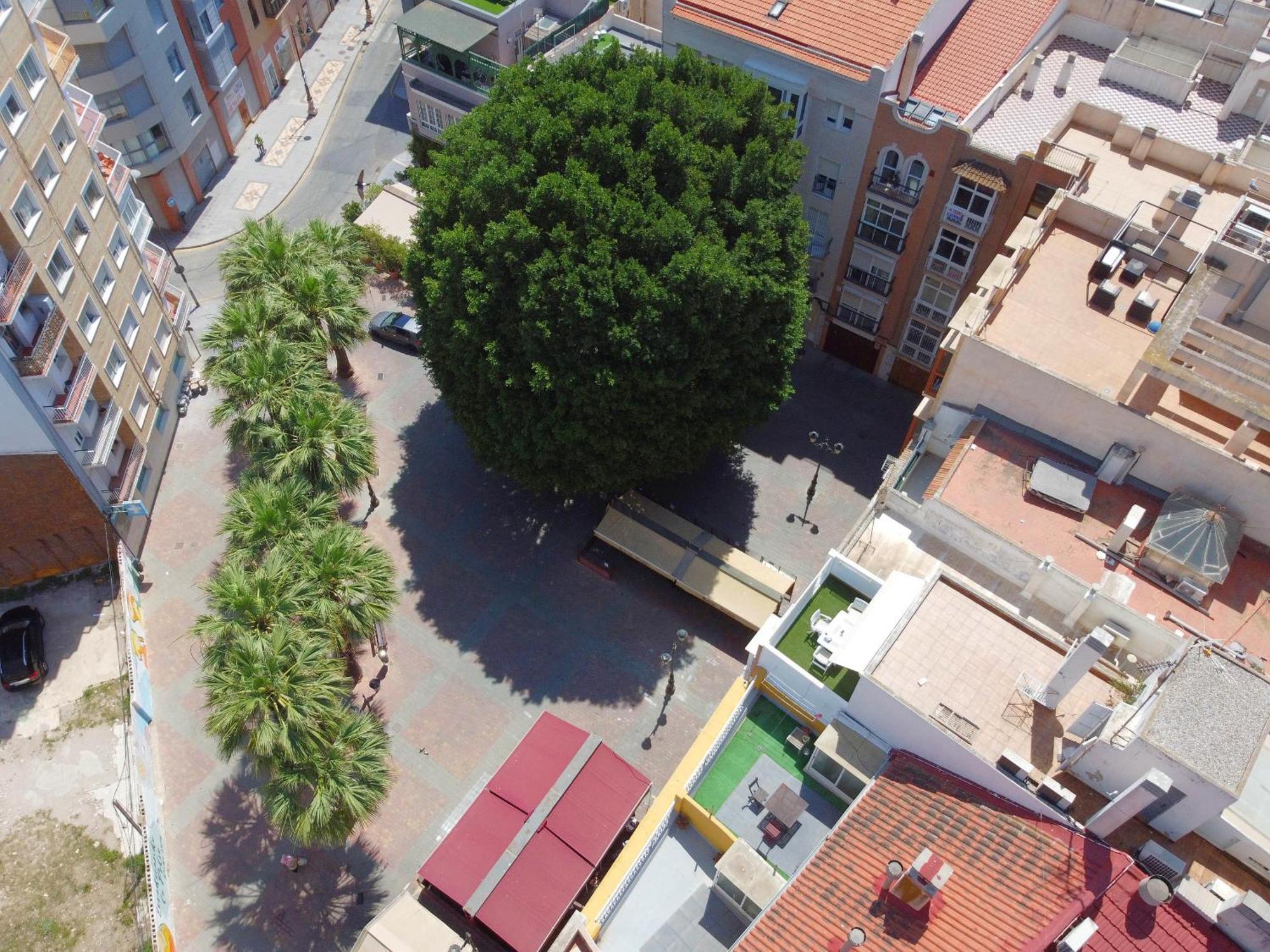Apartamentos Nuevo Edificio Alba Cartagena Centro Parking Buitenkant foto